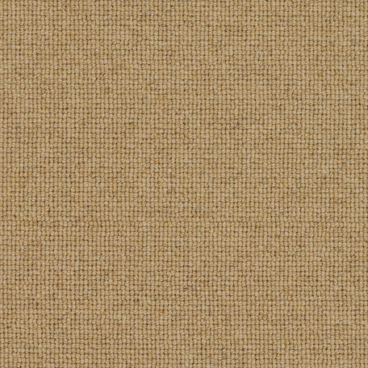 Chickpea