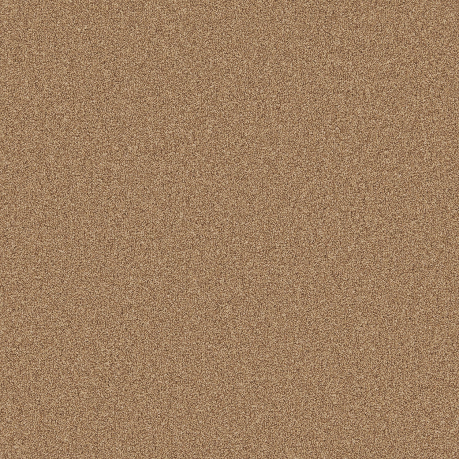 Elm