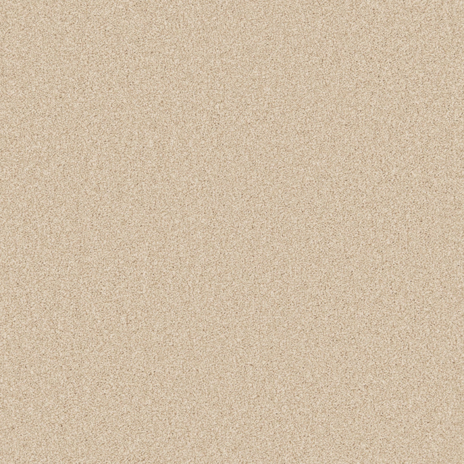Risotto