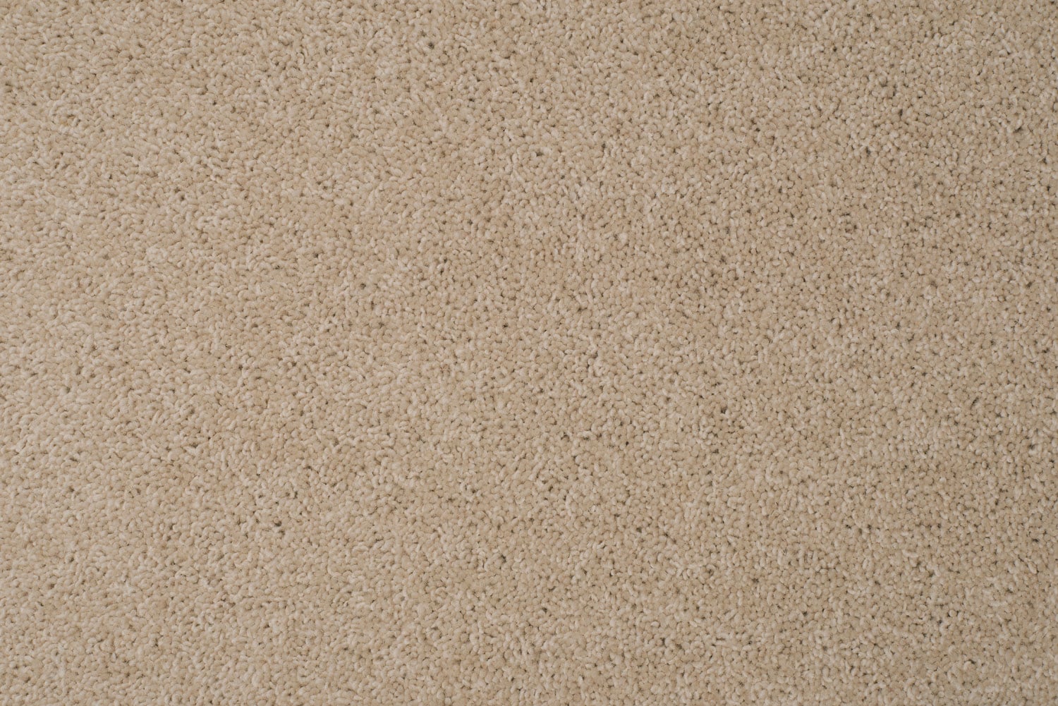 Grain