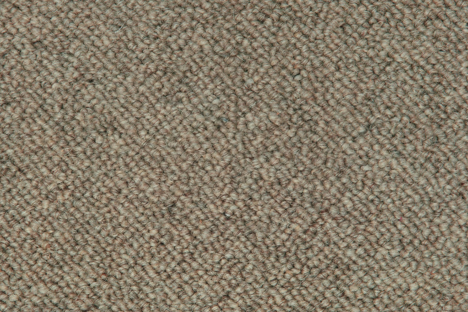 906 Seagrass
