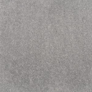 Gray Glimpse