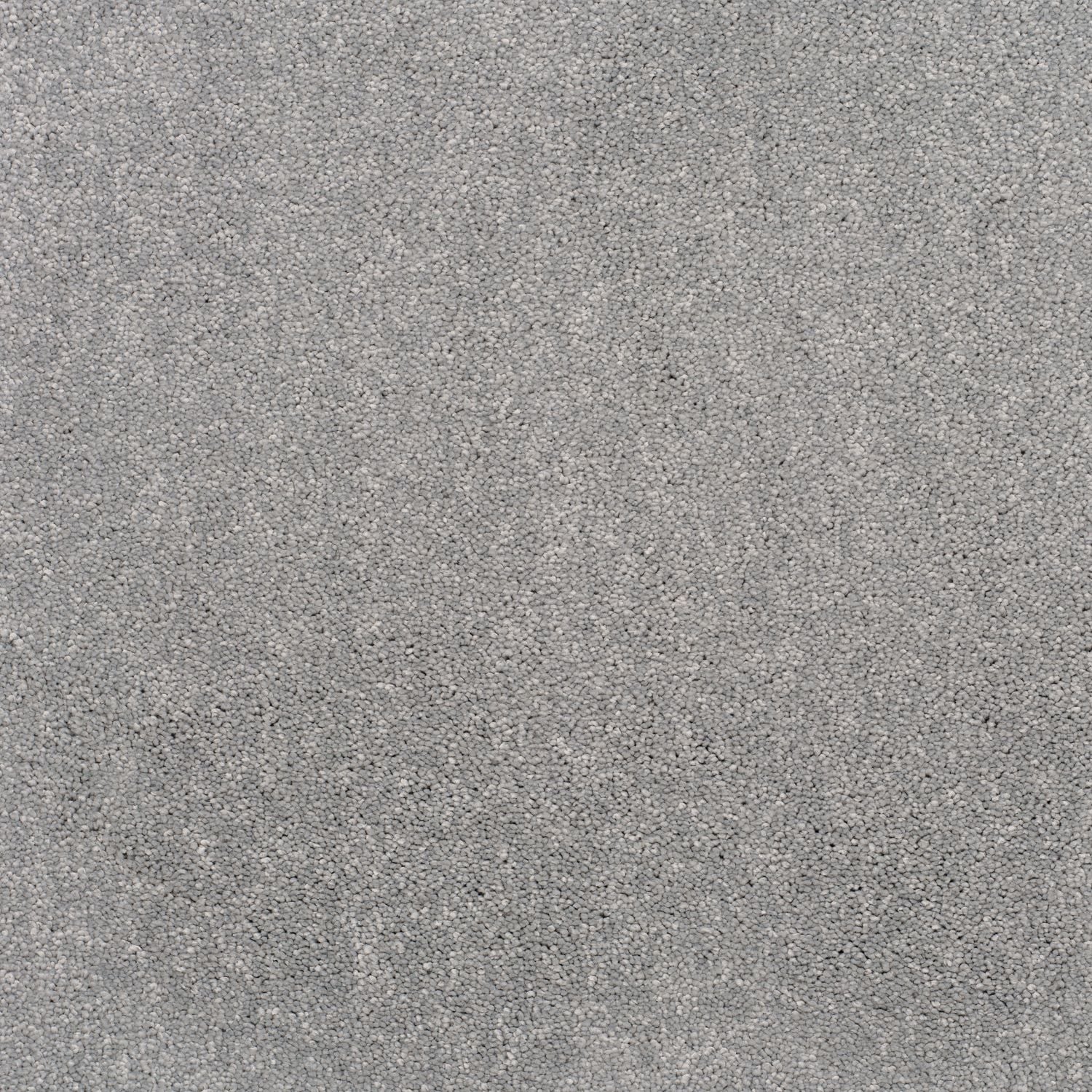 Gray Glimpse