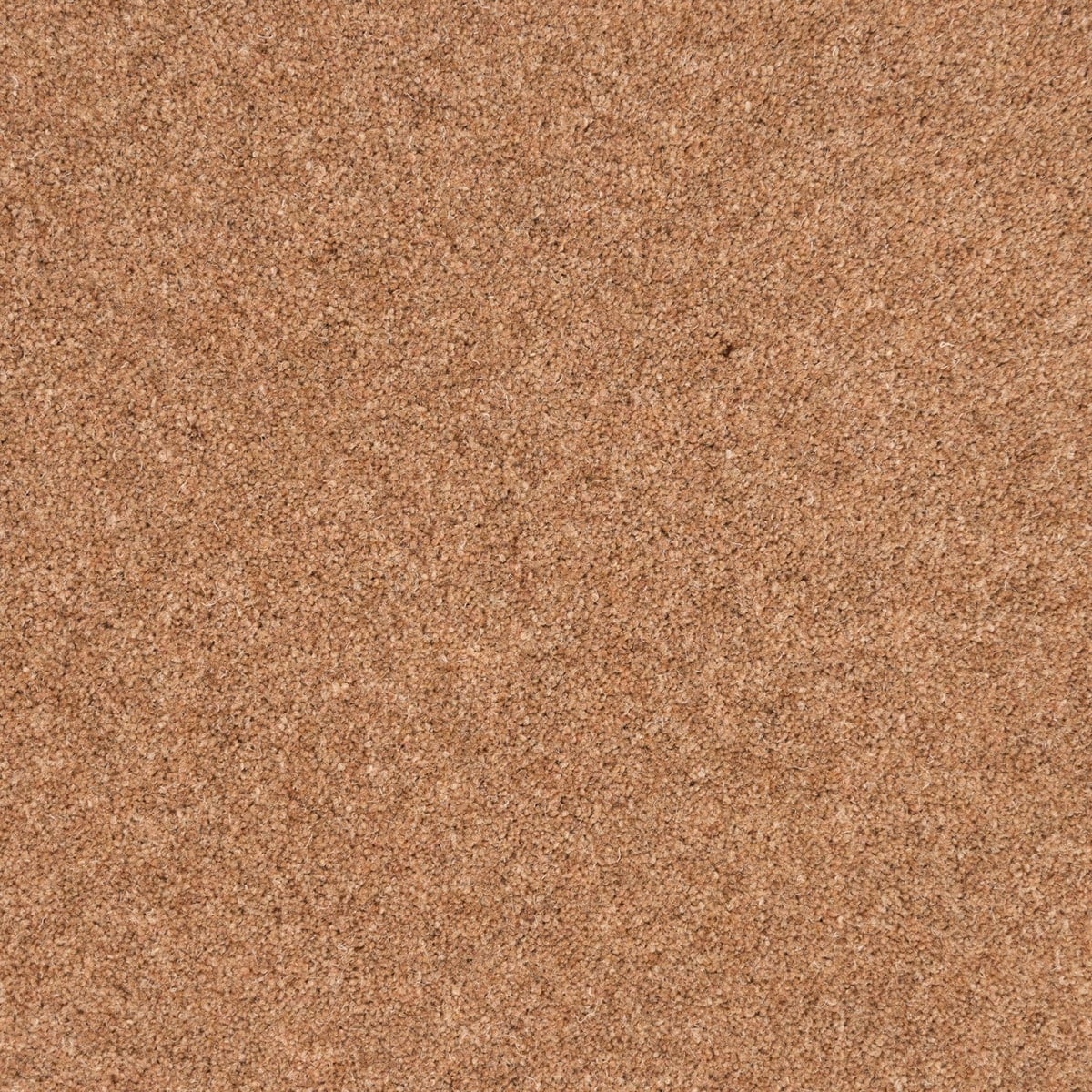 Cassava