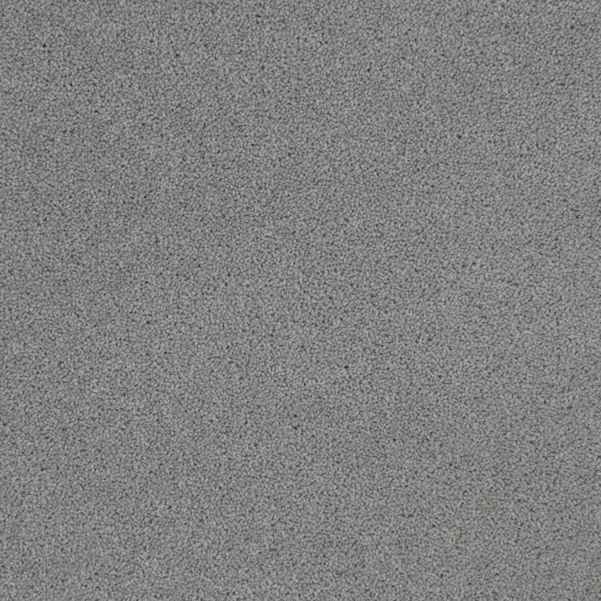 Glacier