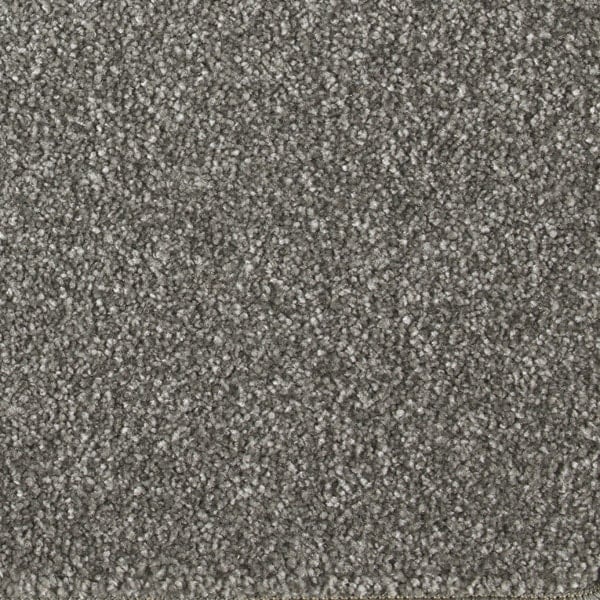 Chinchilla