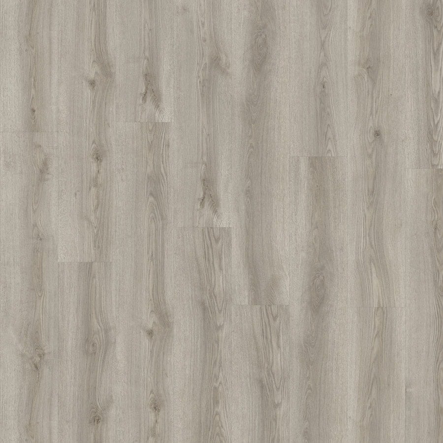 Avalon Oak
