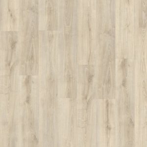 Hollister Oak