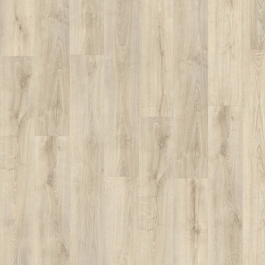 Hollister Oak