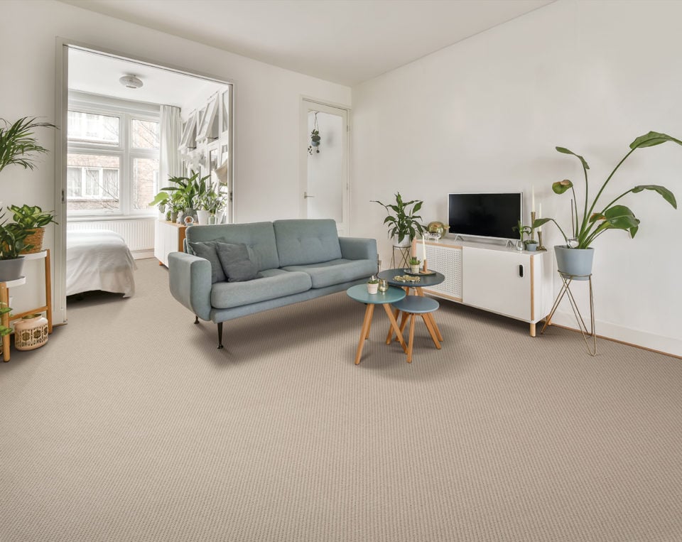 Smart Décor Loop