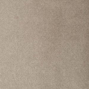 Pumice 8914