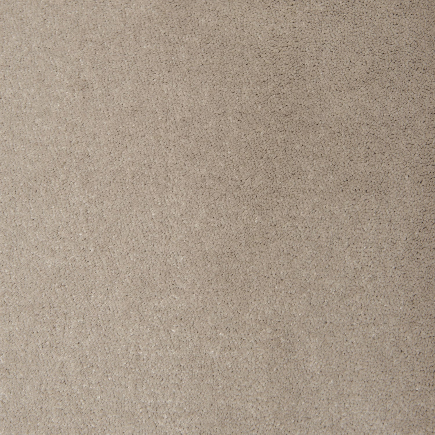 Pumice 8914