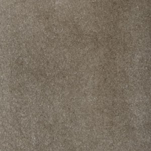 Turtle Dove 8904