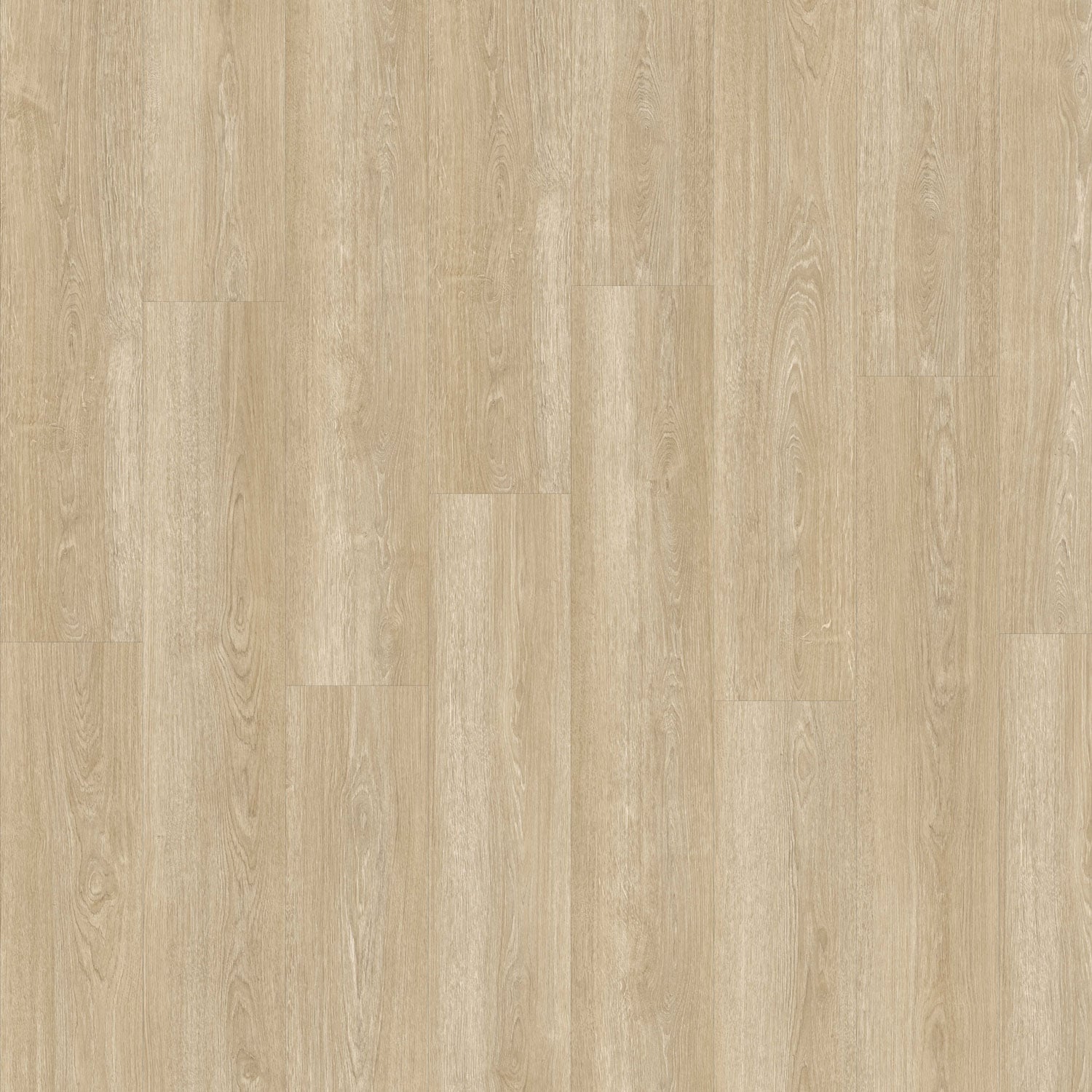 Dennison Oak