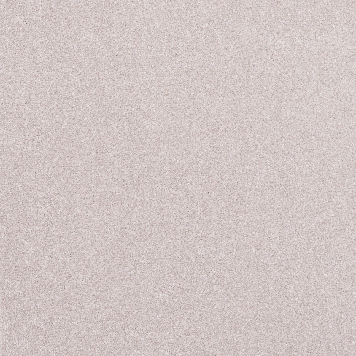 Dove