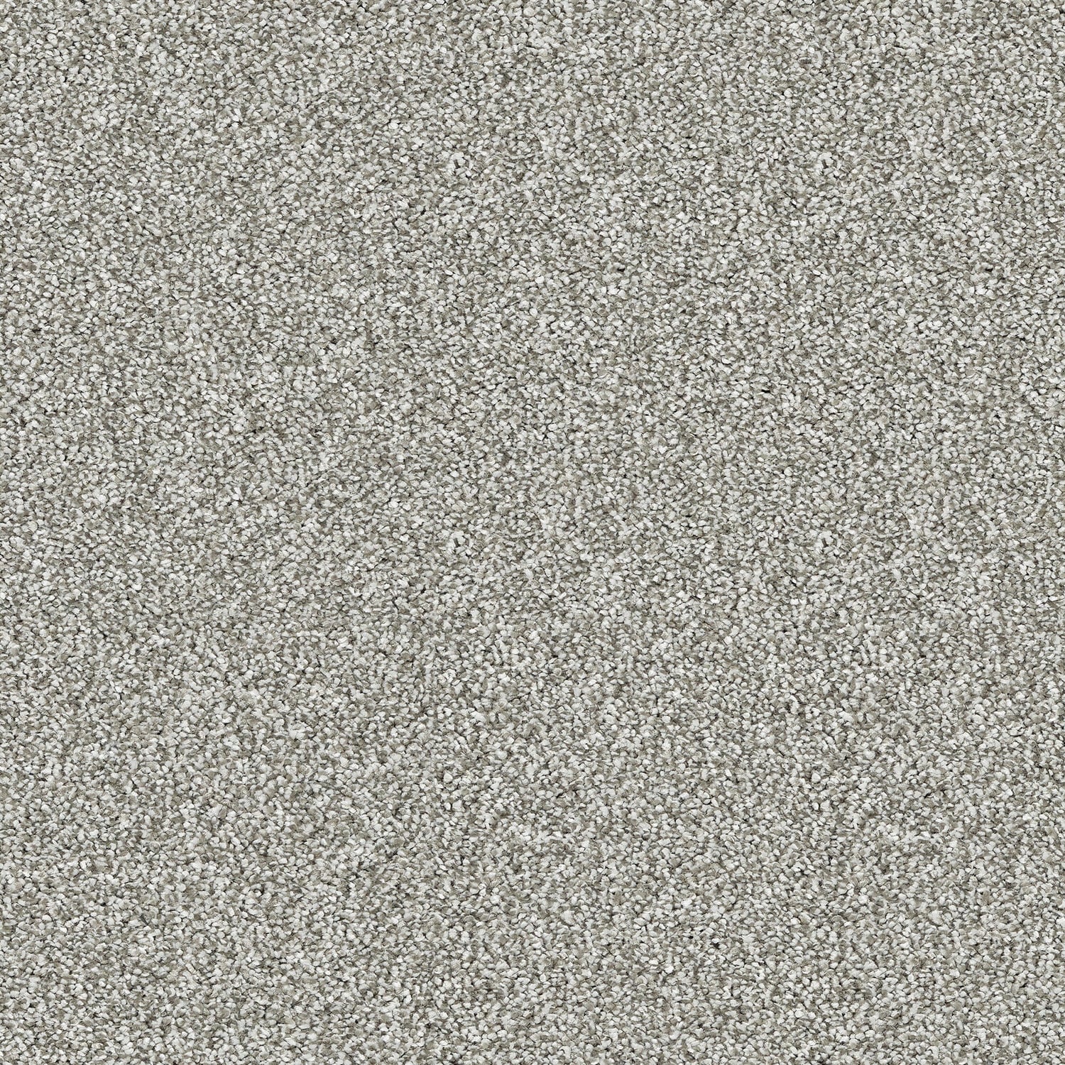 Dove Grey