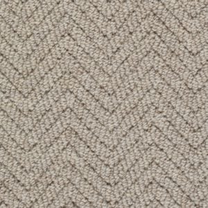 Sapwood