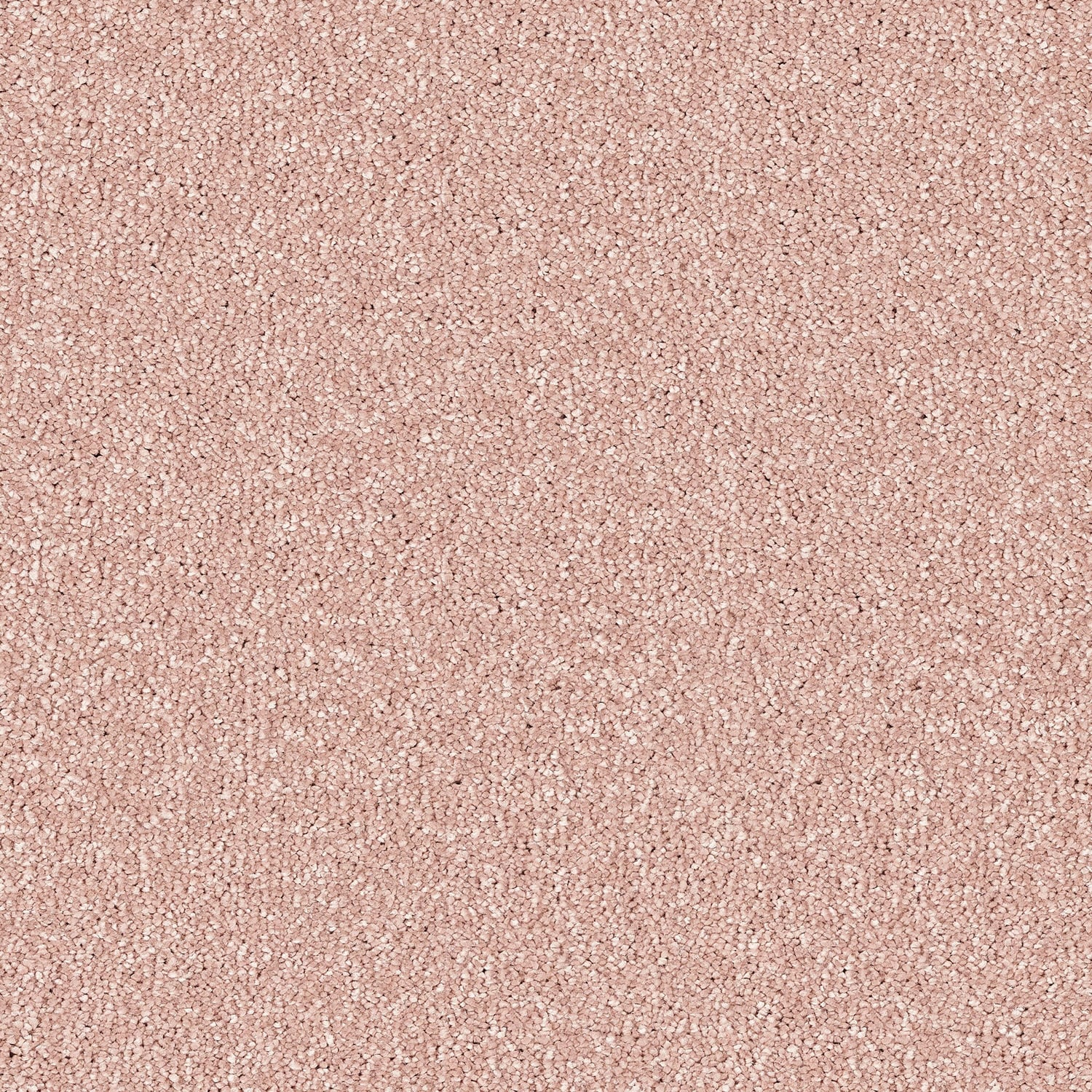 Dusky Pink