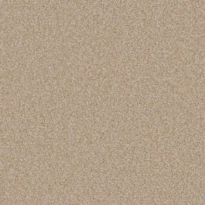 Sahara Shadow