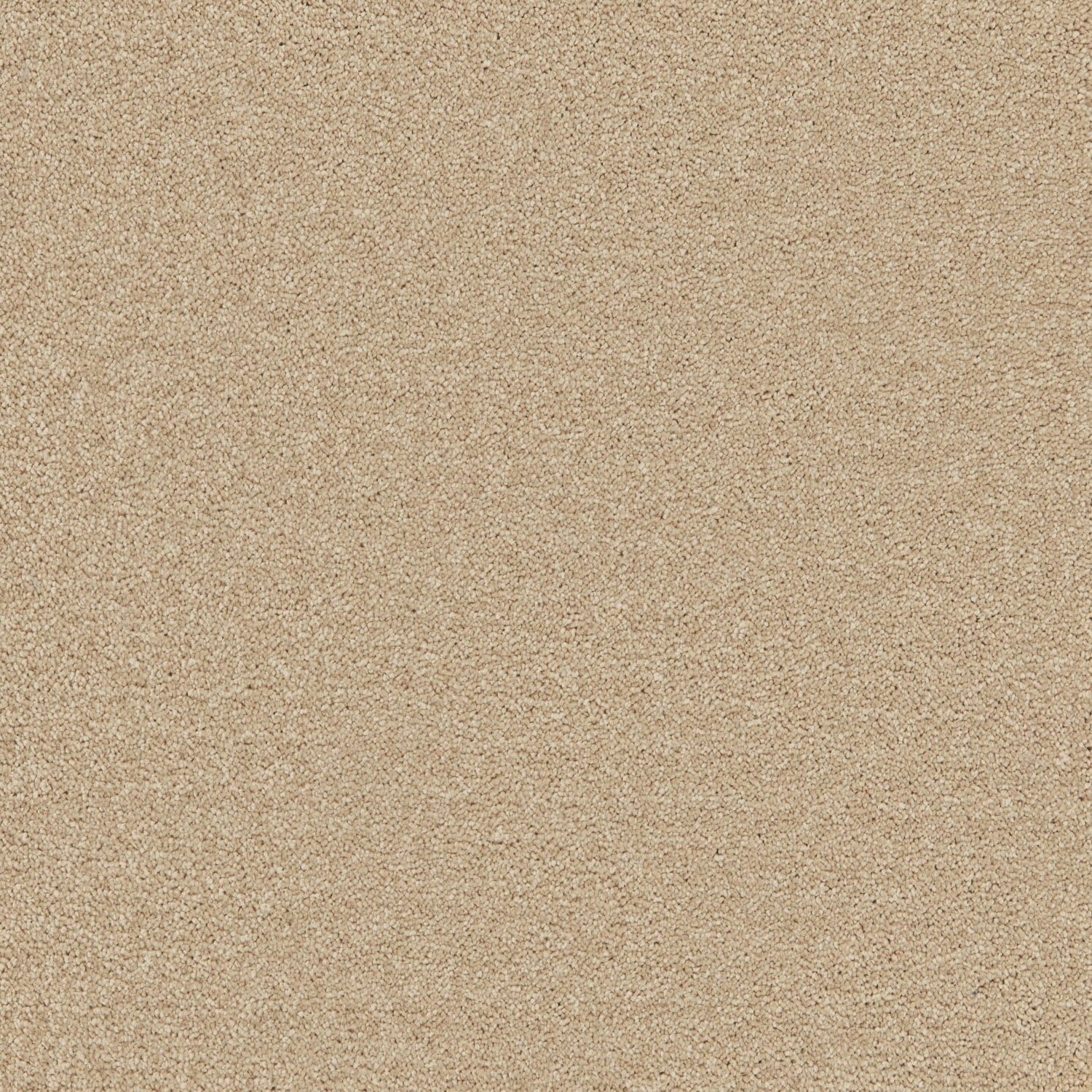 Clouded Beige