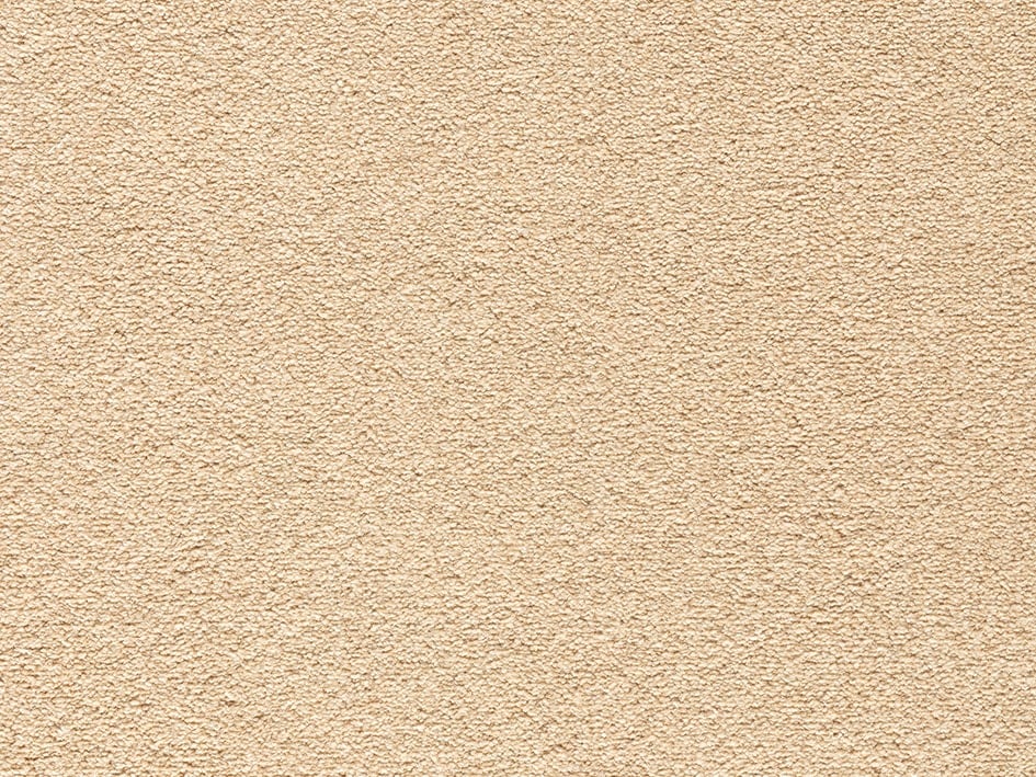 Macadamia Nut
