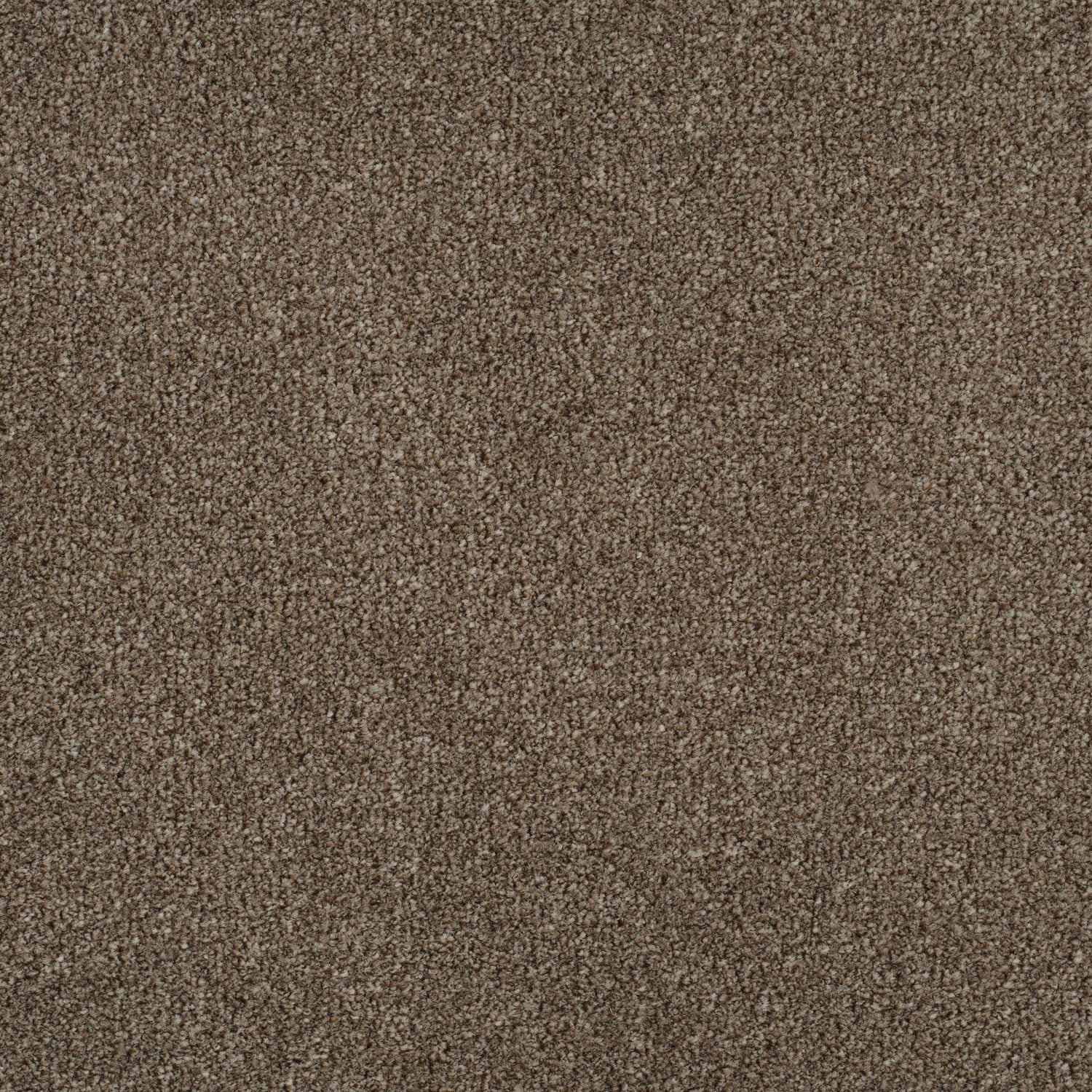 Thatch Brown