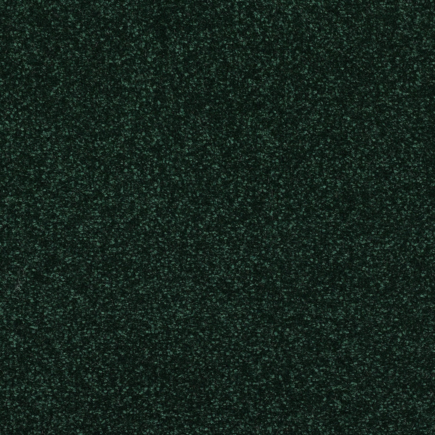 Fir Green