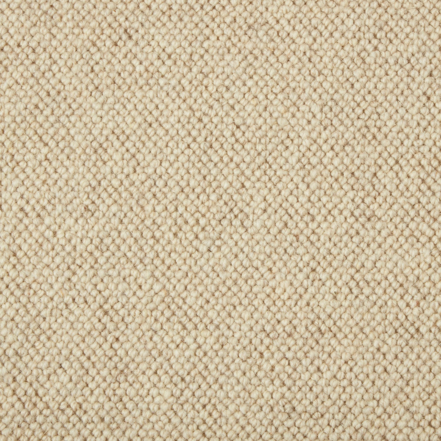 Shingle