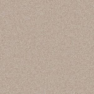Pebble