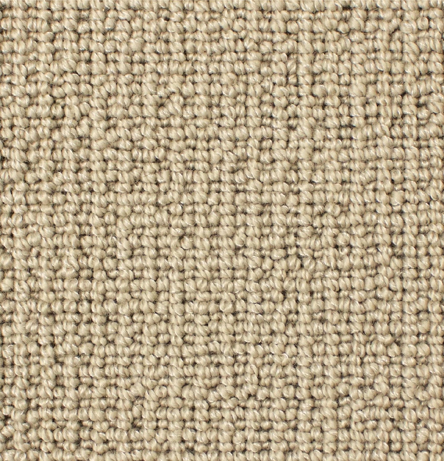 Opal 2451