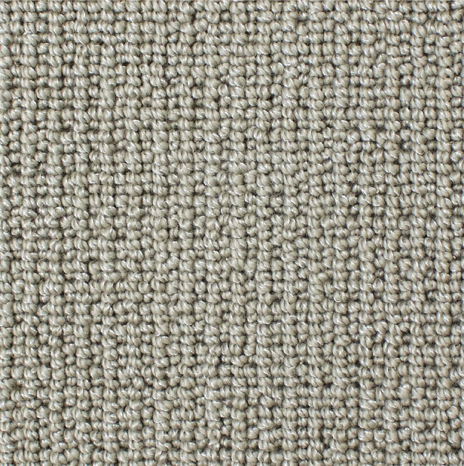 Zircon 2454