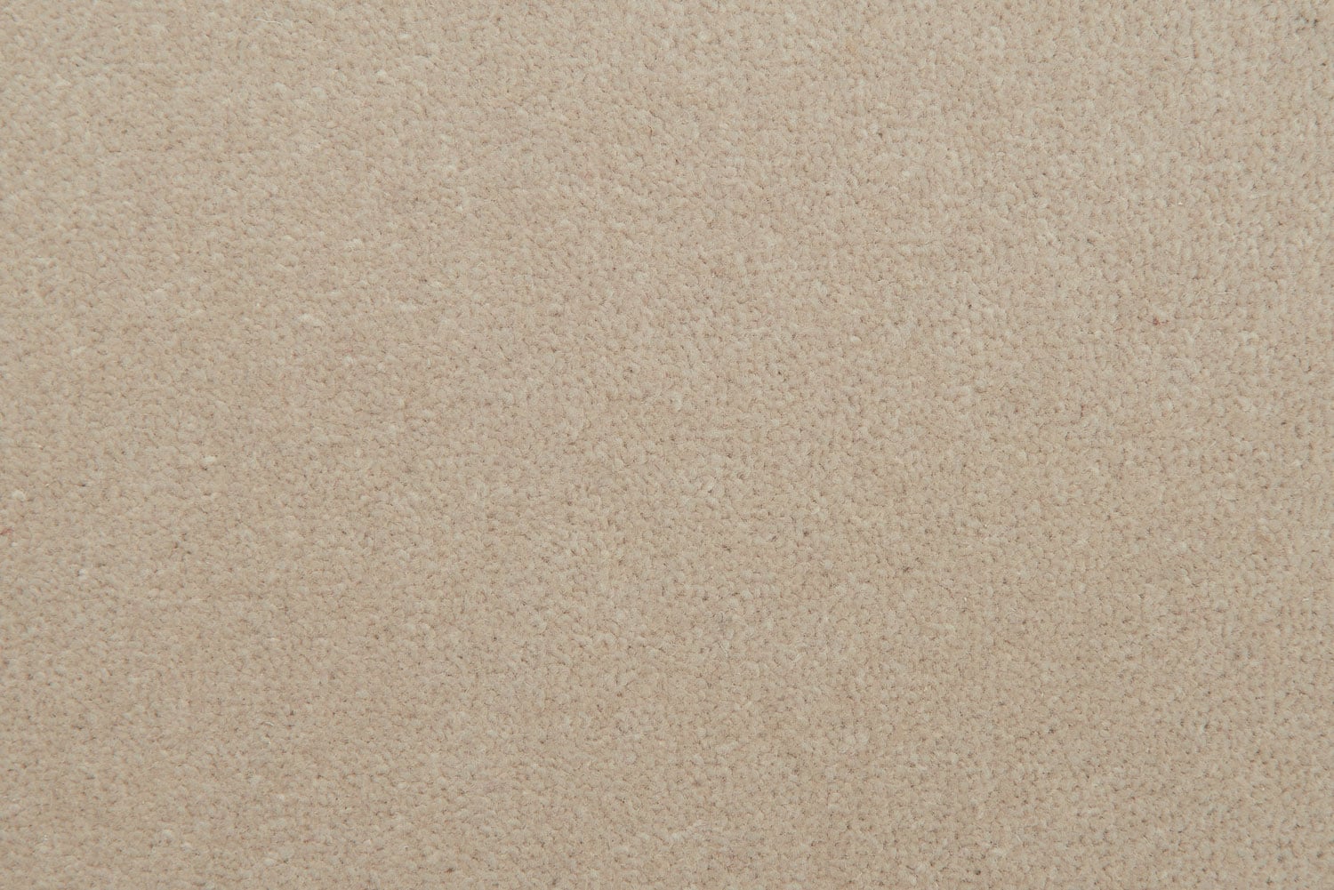 Suede 22