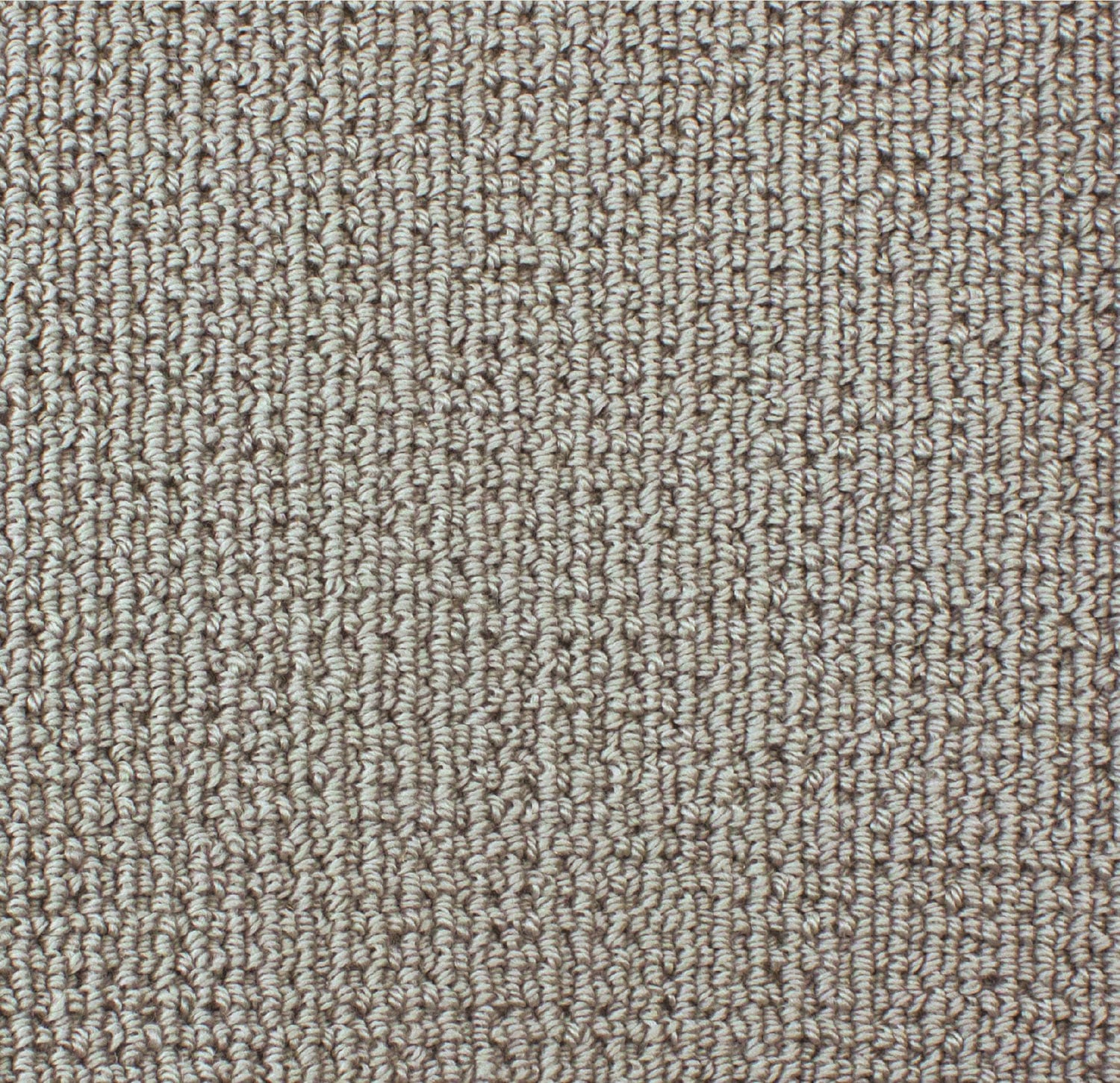 Silver Sage 2104