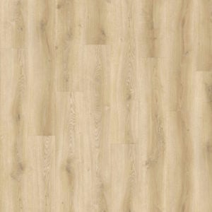 Glade Oak