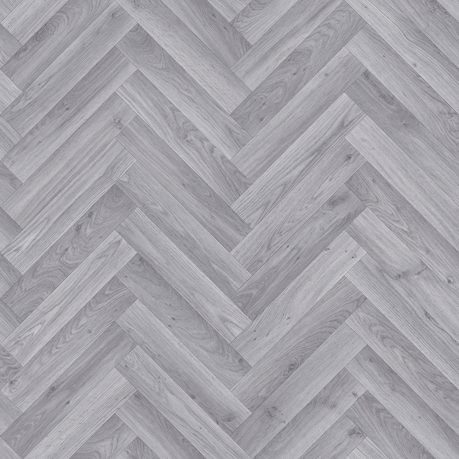 Grey Elm