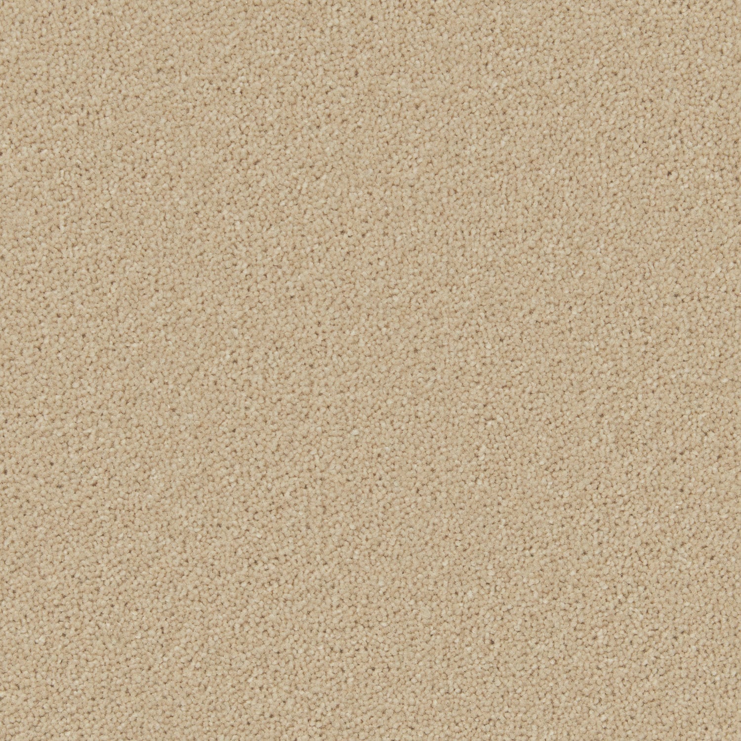 Fossil
