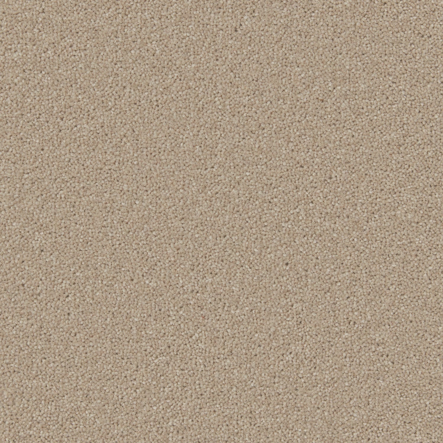 Italian Stone