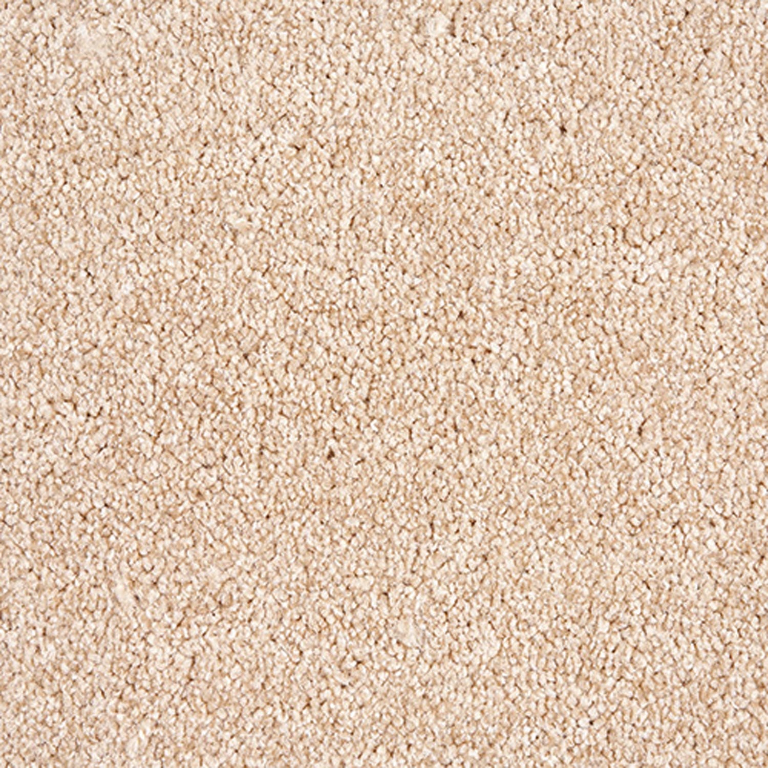Desert Sand