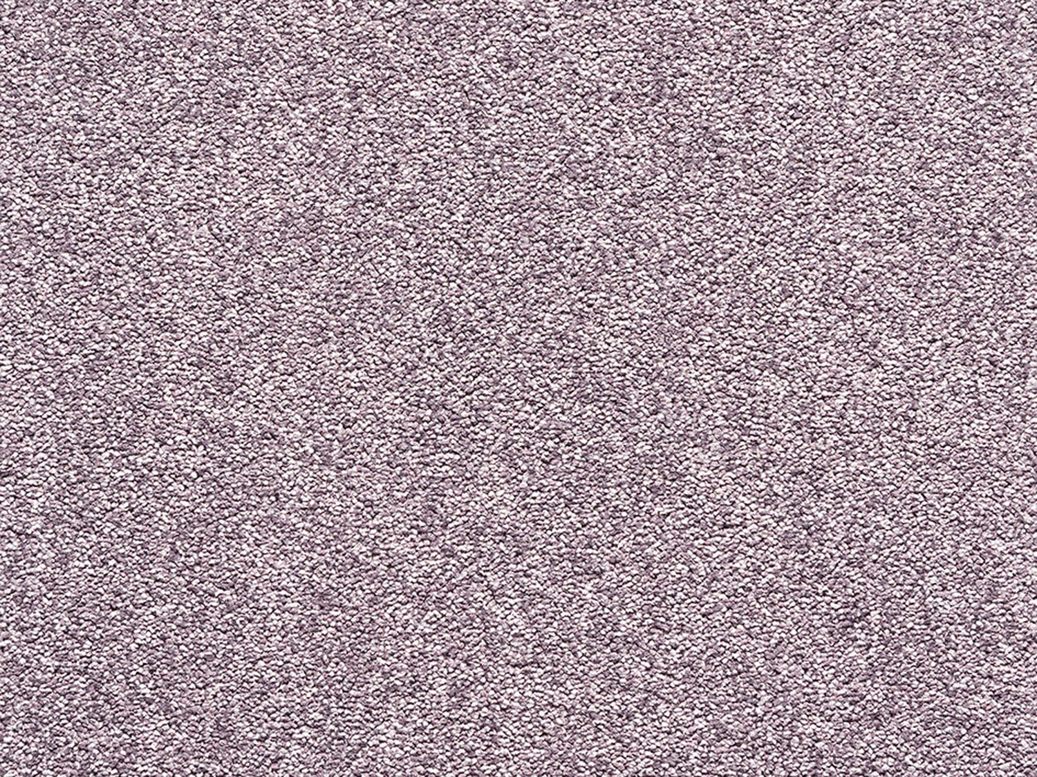 Purple Brasil