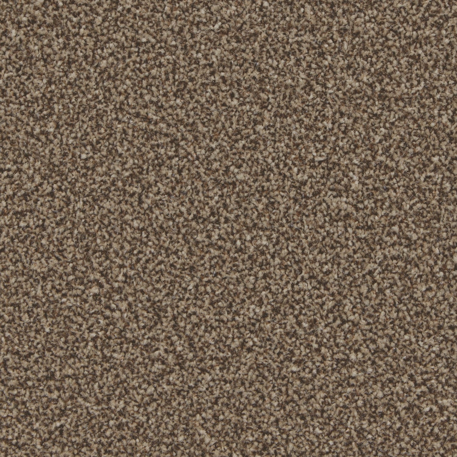 Mocha
