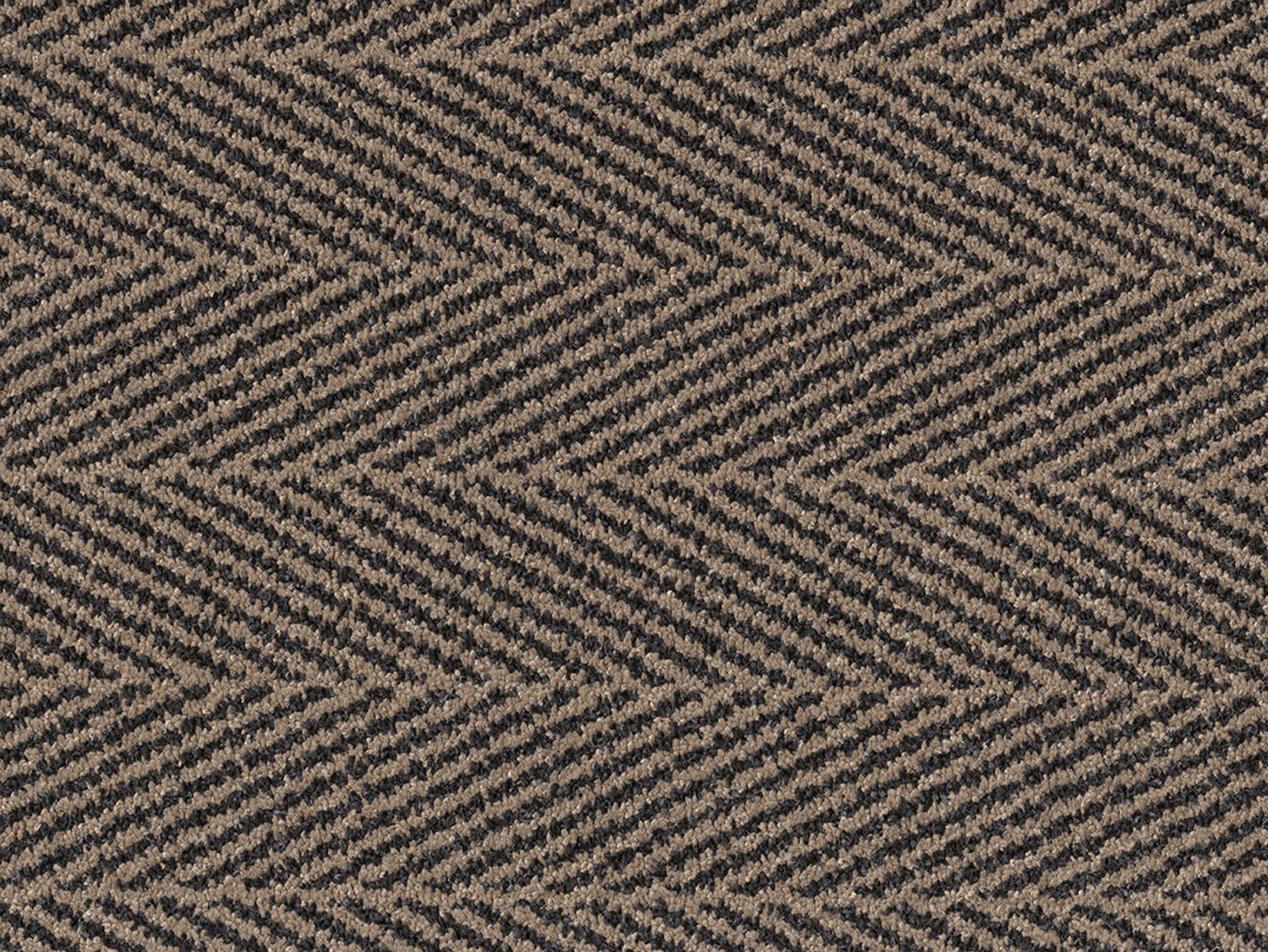 Chevron - Almond