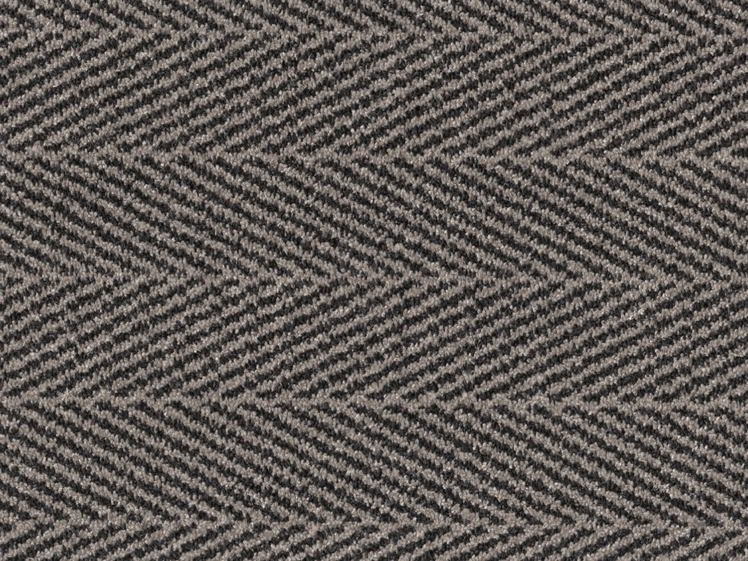 Chevron - Soft Taupe