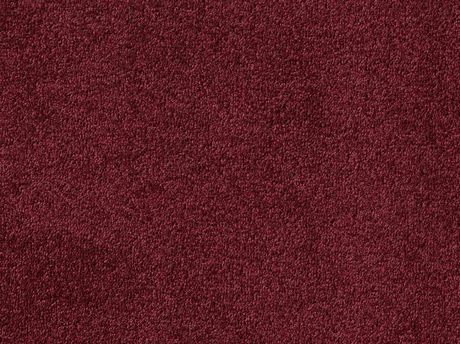 Plain - Candy Apple