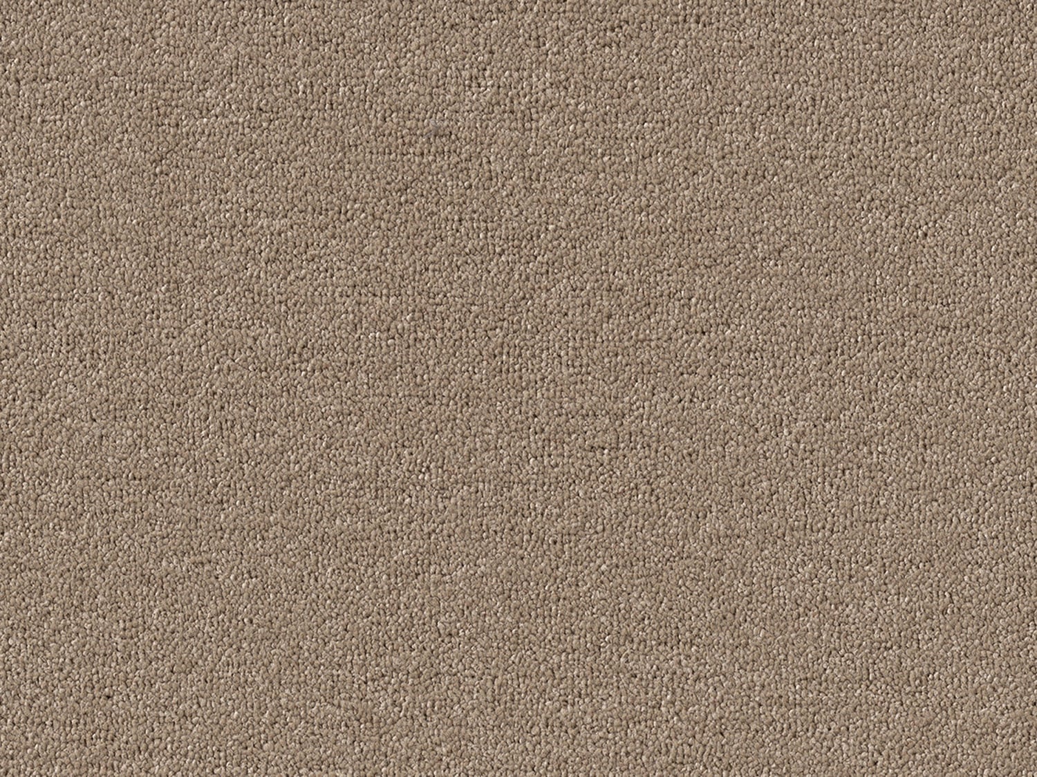 Plain - Almond