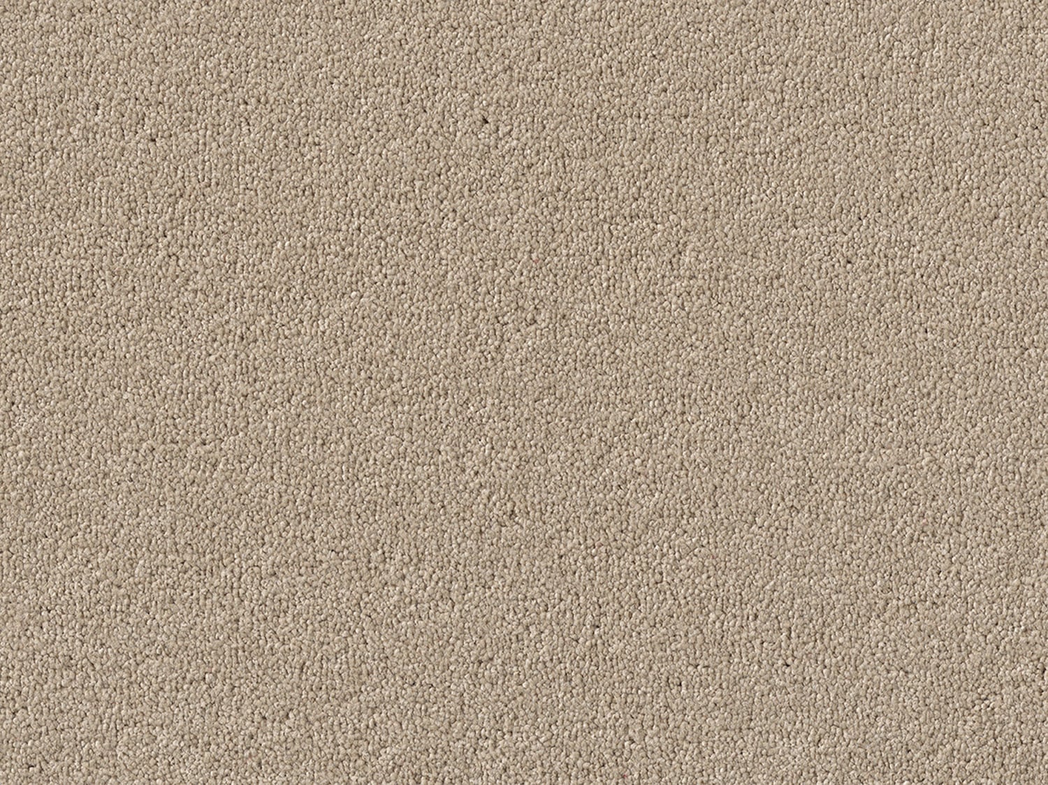 Plain - Sand