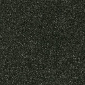 Plain - Shamrock