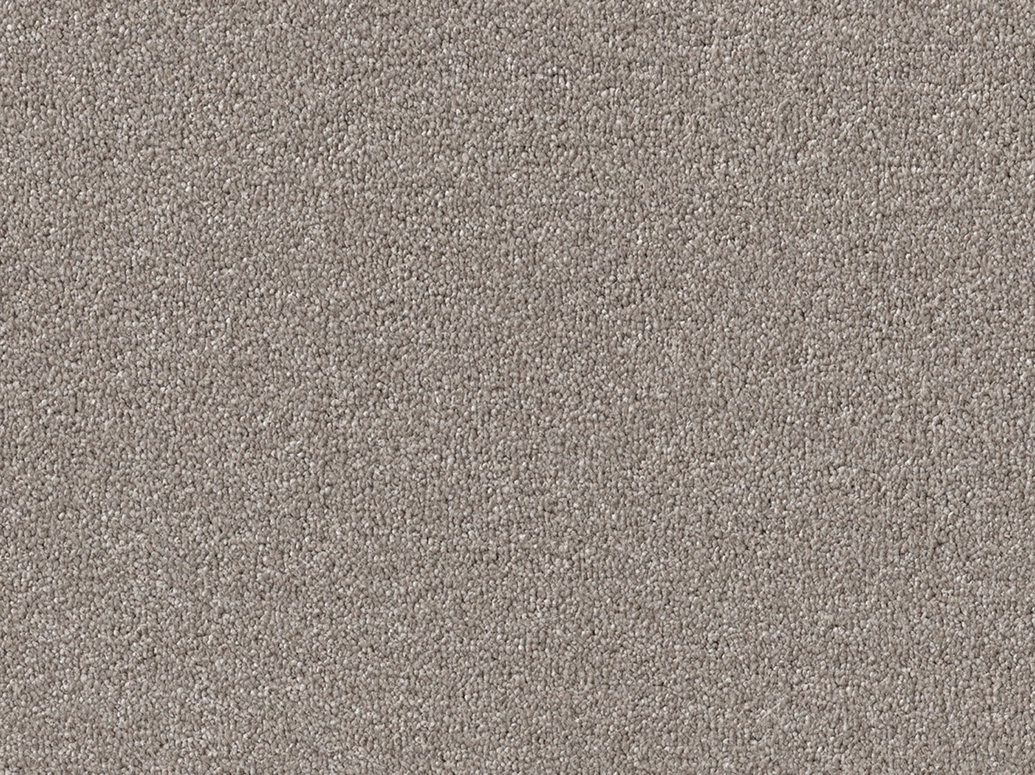Plain - Soft Taupe
