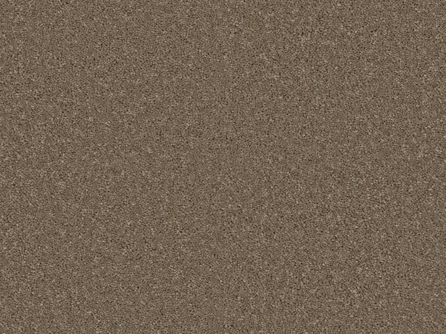 Clay