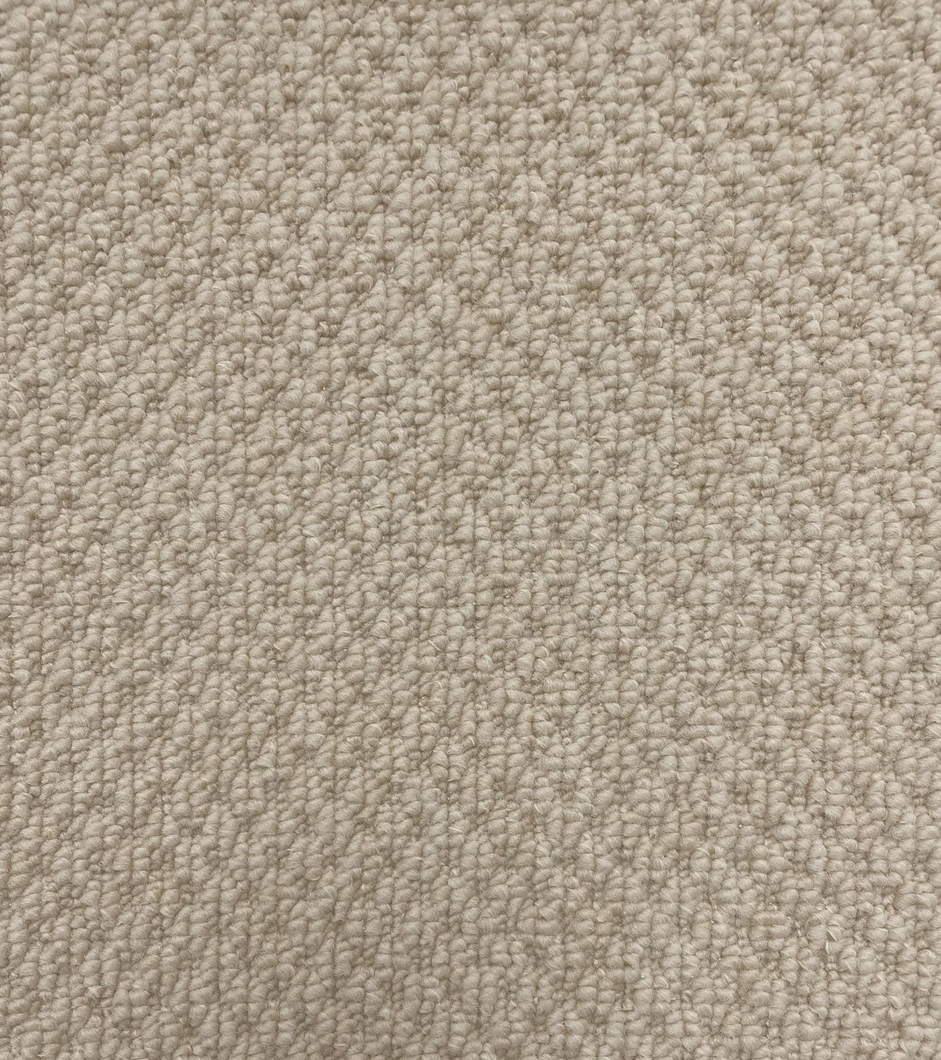Latte Boucle