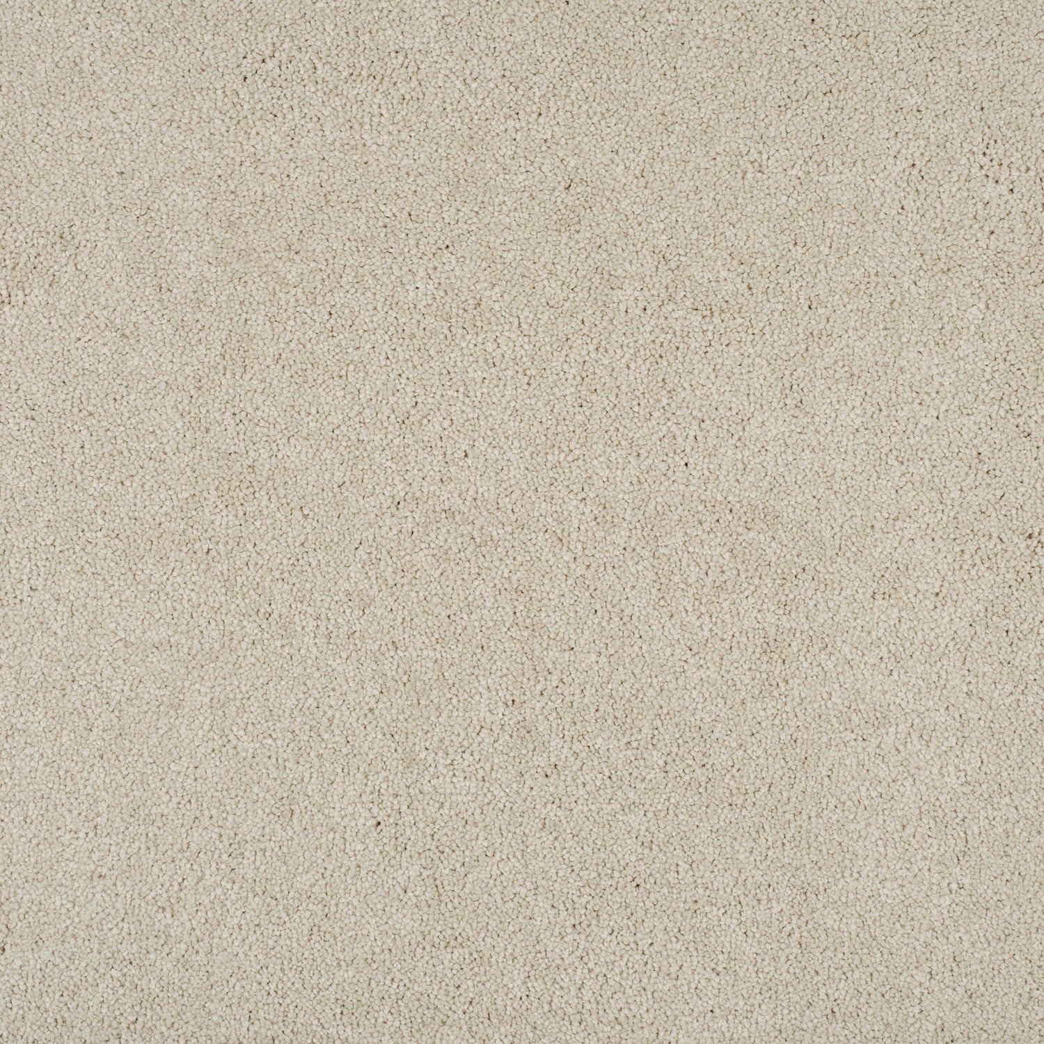 Arcade White